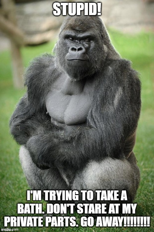 gorilla vegan | STUPID! I'M TRYING TO TAKE A BATH. DON'T STARE AT MY PRIVATE PARTS. GO AWAY!!!!!!!! | image tagged in gorilla vegan | made w/ Imgflip meme maker