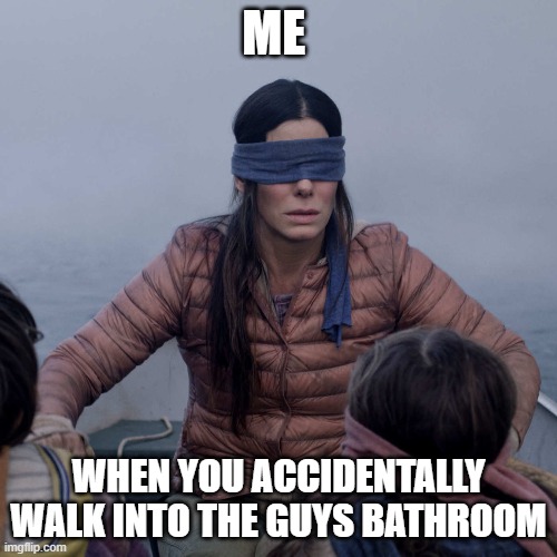 Bird Box | ME; WHEN YOU ACCIDENTALLY WALK INTO THE GUYS BATHROOM | image tagged in memes,bird box | made w/ Imgflip meme maker
