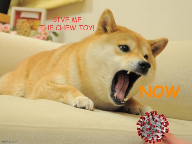 uh doge? that's not a chew toy | GIVE ME THE CHEW TOY! NOW | image tagged in angry doge,memes,funny,wow,so angr,very attac | made w/ Imgflip meme maker