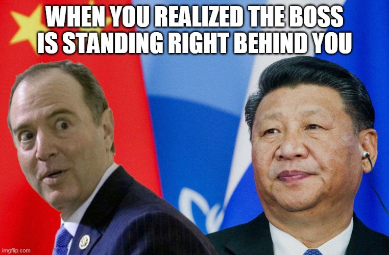 President Xi and Schiff | WHEN YOU REALIZED THE BOSS IS STANDING RIGHT BEHIND YOU | image tagged in president xi and schiff | made w/ Imgflip meme maker