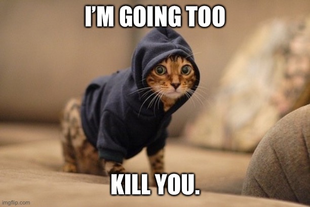 Hoody Cat | I’M GOING TOO; KILL YOU. | image tagged in memes,hoody cat | made w/ Imgflip meme maker