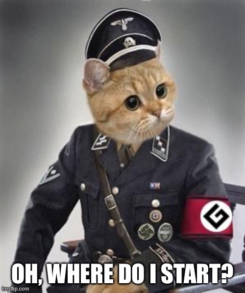 Grammar Nazi Cat | OH, WHERE DO I START? | image tagged in grammar nazi cat | made w/ Imgflip meme maker