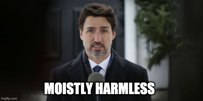 Moistly Harmless | MOISTLY HARMLESS | image tagged in trudeau | made w/ Imgflip meme maker