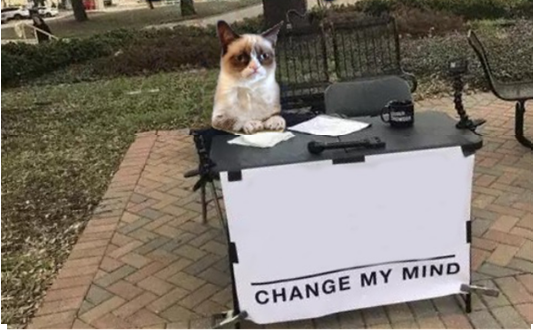 Grumpy Cat Change my Mind Blank Meme Template