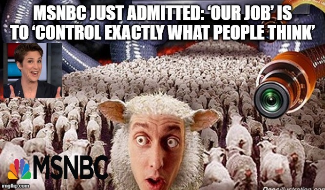 MSNBC Just Admitted: "Our Job Is To Control Exactly What People Think" | image tagged in fake news,msnbc,rachel maddow | made w/ Imgflip meme maker