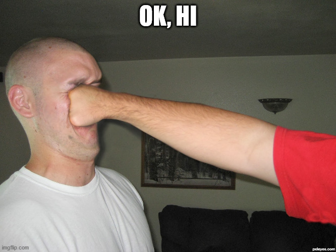 Face punch | OK, HI | image tagged in face punch | made w/ Imgflip meme maker