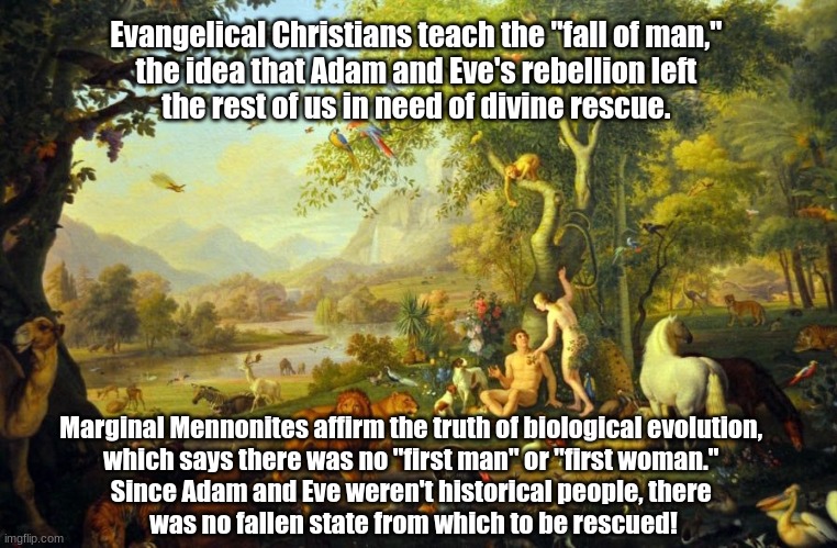 No fallen state from which to be rescued | Evangelical Christians teach the "fall of man," 
the idea that Adam and Eve's rebellion left 
the rest of us in need of divine rescue. Marginal Mennonites affirm the truth of biological evolution, 
which says there was no "first man" or "first woman." 
Since Adam and Eve weren't historical people, there 
was no fallen state from which to be rescued! | image tagged in fall of man,adam and eve,divine rescue,biological evolution | made w/ Imgflip meme maker