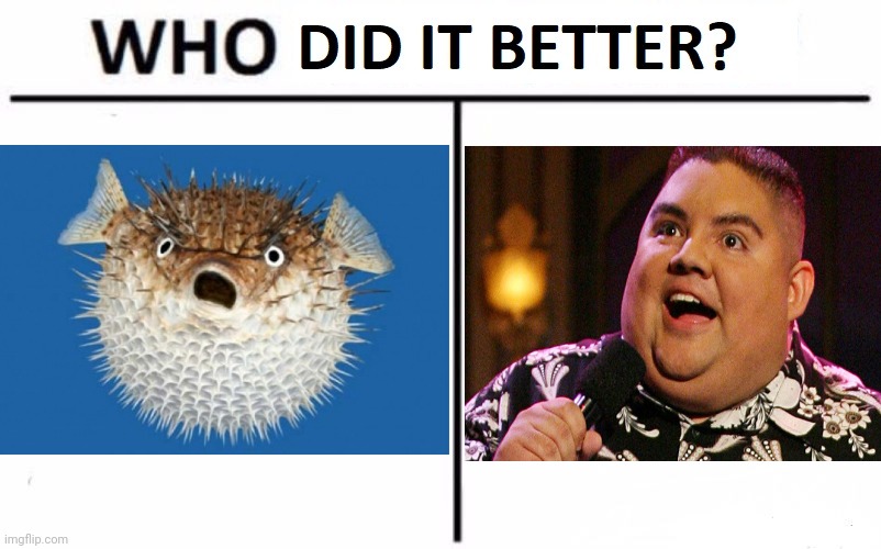 image tagged in fluffy,gabriel iglesias,comedian,blow fish,puffer fish,comedy | made w/ Imgflip meme maker