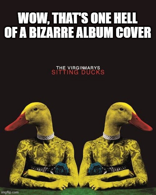 Sitting Ducks | WOW, THAT'S ONE HELL OF A BIZARRE ALBUM COVER | image tagged in ducks | made w/ Imgflip meme maker