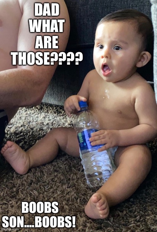 DAD WHAT ARE THOSE???? BOOBS SON....BOOBS! | image tagged in funny,funny memes,look son,dad,baby,money | made w/ Imgflip meme maker