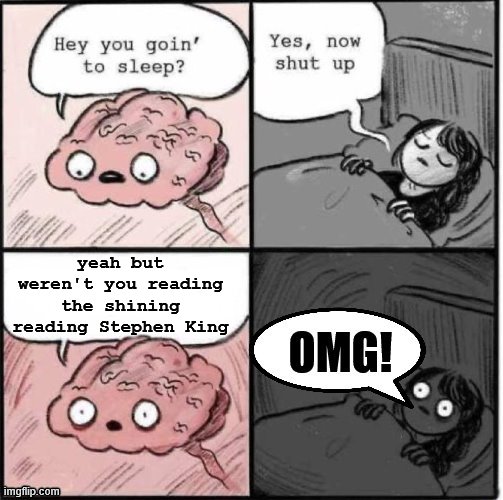 Why I have truble sleeping and feel weird most of the time | yeah but weren't you reading the shining reading Stephen King | image tagged in why i have truble sleeping and feel weird most of the time,omg,funny memes,trying to sleep,shut up | made w/ Imgflip meme maker