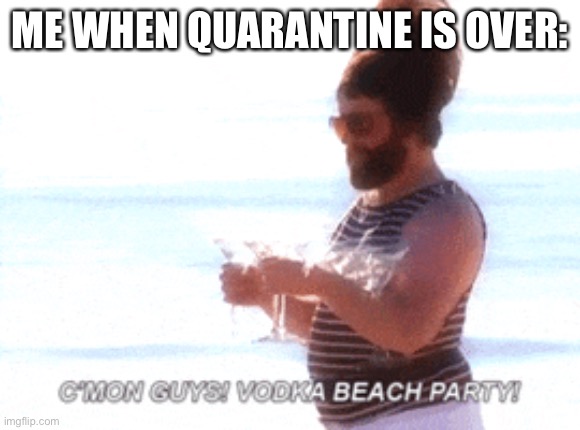 ME WHEN QUARANTINE IS OVER: | image tagged in quarantine,coronavirus,funny | made w/ Imgflip meme maker