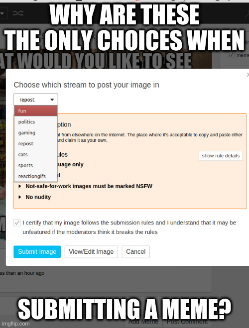 Submit screen options | WHY ARE THESE THE ONLY CHOICES WHEN; SUBMITTING A MEME? | image tagged in submit screen options | made w/ Imgflip meme maker