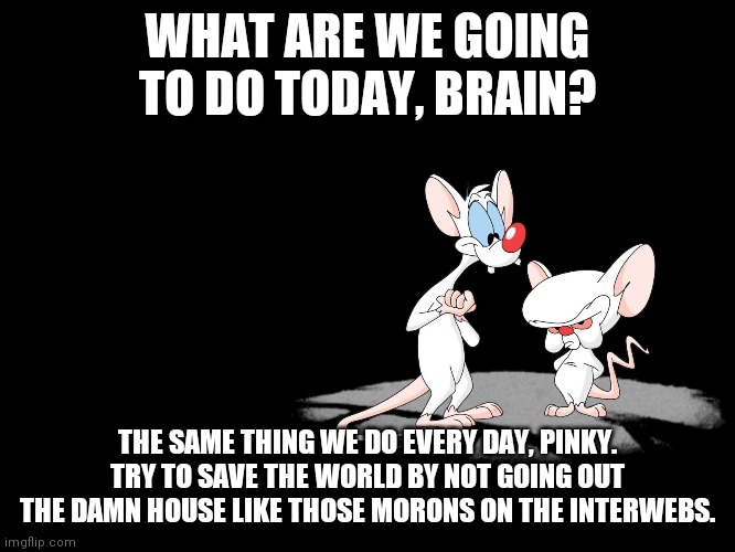 Pinky And The Brain | WHAT ARE WE GOING TO DO TODAY, BRAIN? THE SAME THING WE DO EVERY DAY, PINKY. TRY TO SAVE THE WORLD BY NOT GOING OUT THE DAMN HOUSE LIKE THOSE MORONS ON THE INTERWEBS. | image tagged in pinky and the brain | made w/ Imgflip meme maker