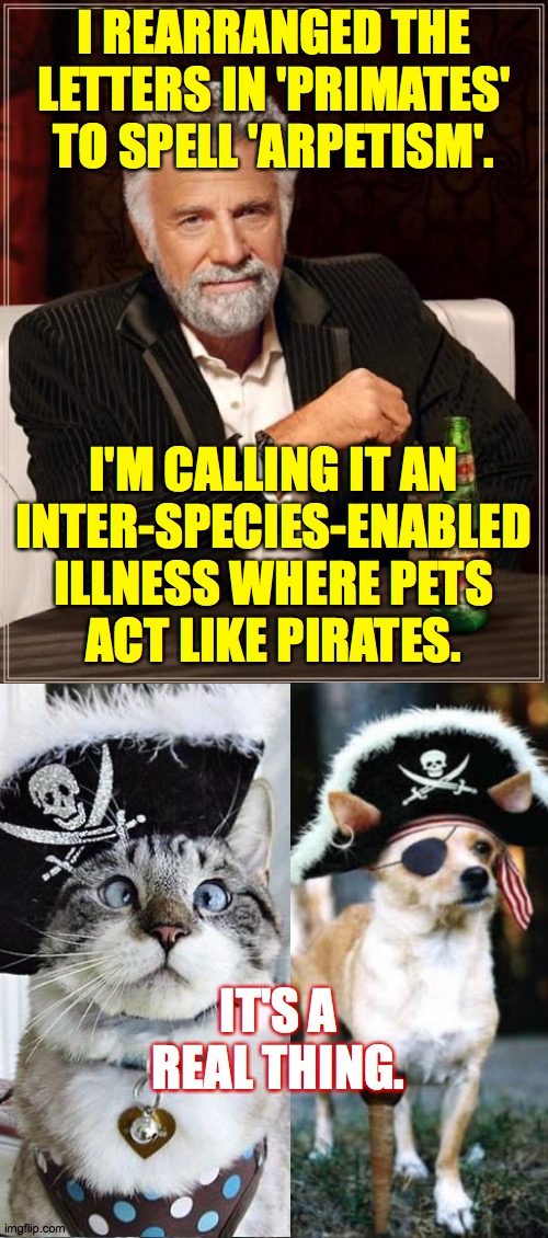 Have or know a friend who struggles with arpetism? Volunteer at celebratearpetism.org and sign up for the weekly newsletter ( : | I REARRANGED THE LETTERS IN 'PRIMATES' TO SPELL 'ARPETISM'. I'M CALLING IT AN
INTER-SPECIES-ENABLED
ILLNESS WHERE PETS
ACT LIKE PIRATES. IT'S A REAL THING. | image tagged in memes,the most interesting man in the world,pirate dog,pirate cat,i'm the captain now,ahoy izzat food i smells | made w/ Imgflip meme maker