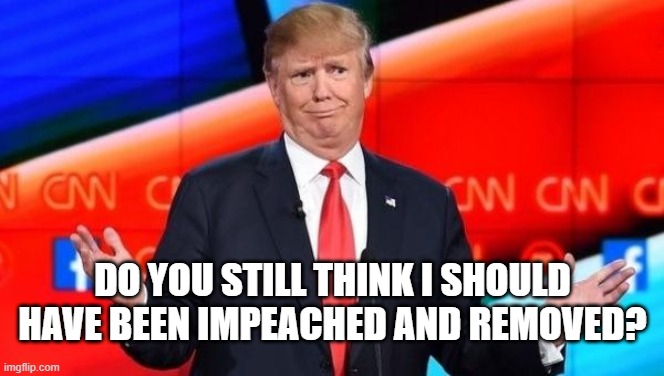 DO YOU STILL THINK? | DO YOU STILL THINK I SHOULD HAVE BEEN IMPEACHED AND REMOVED? | image tagged in trump,idiot,impeach,remove,treason,expel | made w/ Imgflip meme maker