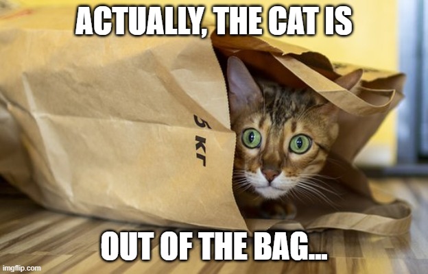 ACTUALLY, THE CAT IS; OUT OF THE BAG... | made w/ Imgflip meme maker