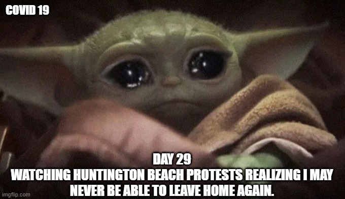 Crying Baby Yoda | COVID 19; DAY 29
WATCHING HUNTINGTON BEACH PROTESTS REALIZING I MAY NEVER BE ABLE TO LEAVE HOME AGAIN. | image tagged in crying baby yoda | made w/ Imgflip meme maker