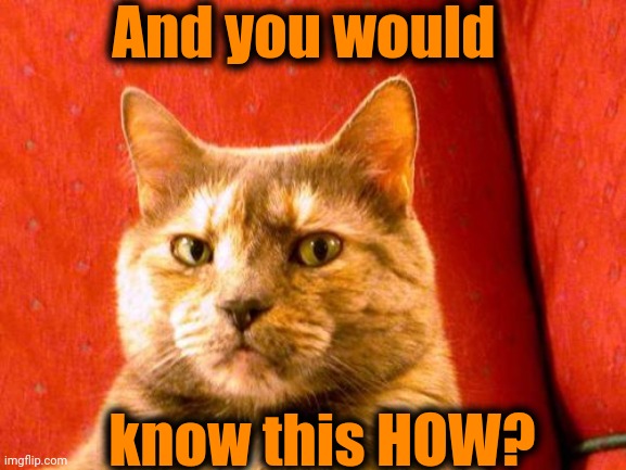 Suspicious Cat Meme | And you would know this HOW? | image tagged in memes,suspicious cat | made w/ Imgflip meme maker