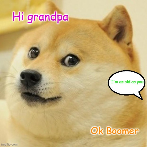 Doge | Hi grandpa; I'm as old as you; Ok Boomer | image tagged in memes,doge | made w/ Imgflip meme maker