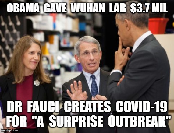 OBAMA  GAVE  WUHAN  LAB  $3.7 MIL; DR  FAUCI  CREATES  COVID-19  FOR  "A  SURPRISE  OUTBREAK" | image tagged in coronavirus,covid-19,obama,dr fauci,wuhan lab,treason | made w/ Imgflip meme maker