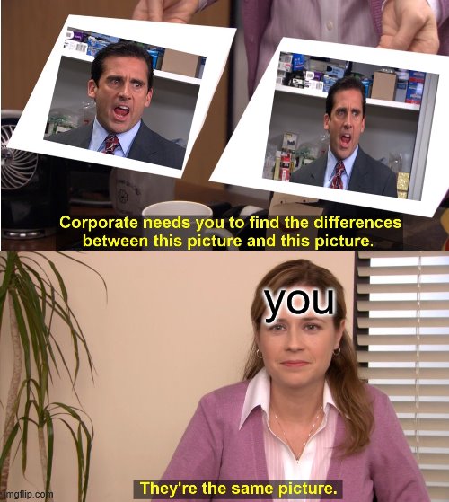 They're The Same Picture Meme | you | image tagged in memes,they're the same picture | made w/ Imgflip meme maker