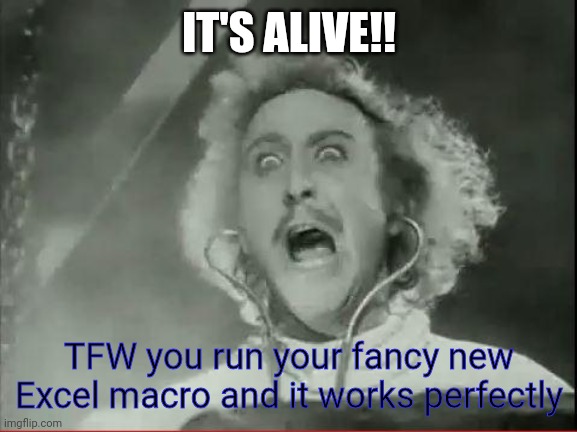 Young Frankenstein | IT'S ALIVE!! TFW you run your fancy new Excel macro and it works perfectly | image tagged in young frankenstein | made w/ Imgflip meme maker