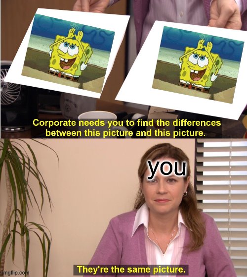 They're The Same Picture | you | image tagged in memes,they're the same picture | made w/ Imgflip meme maker