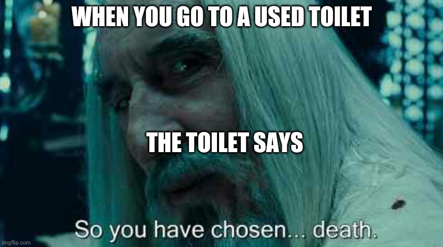 So you have chosen death |  WHEN YOU GO TO A USED TOILET; THE TOILET SAYS | image tagged in so you have chosen death | made w/ Imgflip meme maker