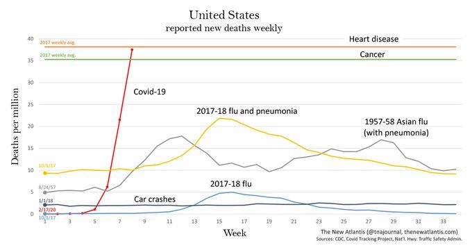 Coronavirus rate vs. flu, hearth & cancer deaths Blank Meme Template