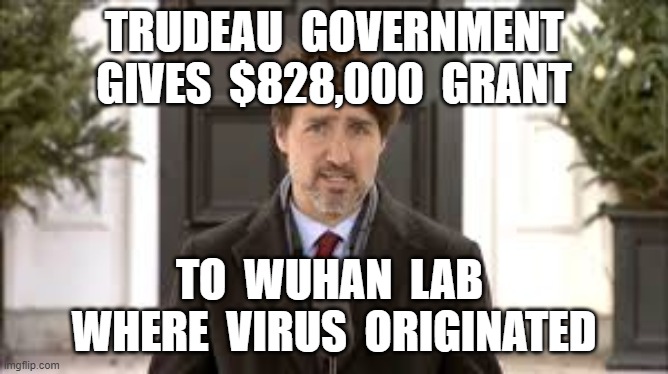 TRUDEAU  GOVERNMENT  GIVES  $828,000  GRANT; TO  WUHAN  LAB  WHERE  VIRUS  ORIGINATED | image tagged in justin trudeau,coronavirus,chinese virus,wuhan lab,covid-19,traitor | made w/ Imgflip meme maker