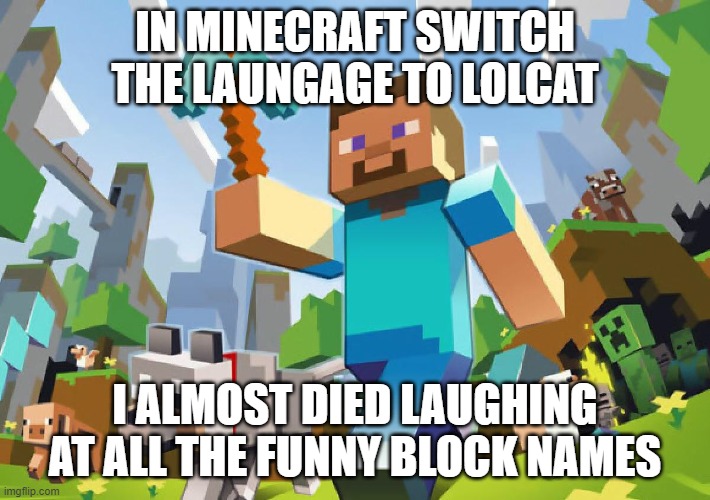 Minecraft  | IN MINECRAFT SWITCH THE LAUNGAGE TO LOLCAT; I ALMOST DIED LAUGHING AT ALL THE FUNNY BLOCK NAMES | image tagged in minecraft | made w/ Imgflip meme maker