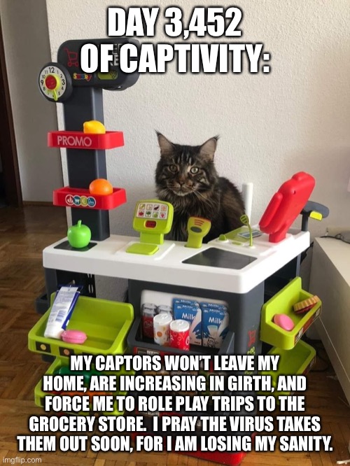 Coronavirus Quarantine Cat | DAY 3,452 OF CAPTIVITY:; MY CAPTORS WON’T LEAVE MY HOME, ARE INCREASING IN GIRTH, AND FORCE ME TO ROLE PLAY TRIPS TO THE GROCERY STORE.  I PRAY THE VIRUS TAKES THEM OUT SOON, FOR I AM LOSING MY SANITY. | image tagged in coronavirus,covid-19,cat,quarantine,corona virus,memes | made w/ Imgflip meme maker