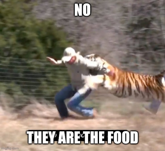 Joe exotic | NO THEY ARE THE FOOD | image tagged in joe exotic | made w/ Imgflip meme maker