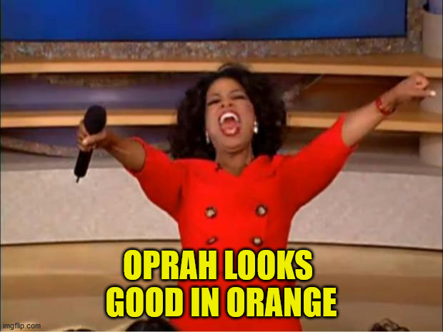 Oprah You Get A | OPRAH LOOKS 
GOOD IN ORANGE | image tagged in memes,oprah you get a | made w/ Imgflip meme maker