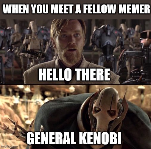 Hello There!  | WHEN YOU MEET A FELLOW MEMER; HELLO THERE; GENERAL KENOBI | image tagged in hello there | made w/ Imgflip meme maker