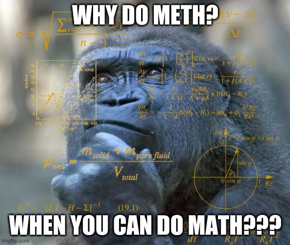 Thinking Math Ape | WHY DO METH? WHEN YOU CAN DO MATH??? | image tagged in thinking math ape | made w/ Imgflip meme maker