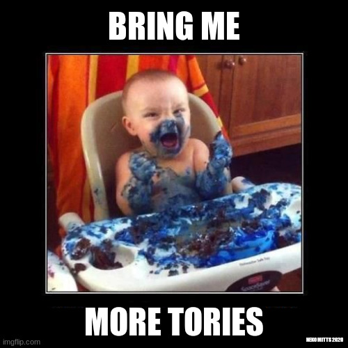 bring me more tories | BRING ME; MORE TORIES; NEKO MITTS 2020 | image tagged in baby,blue,conservative,tory,eating | made w/ Imgflip meme maker