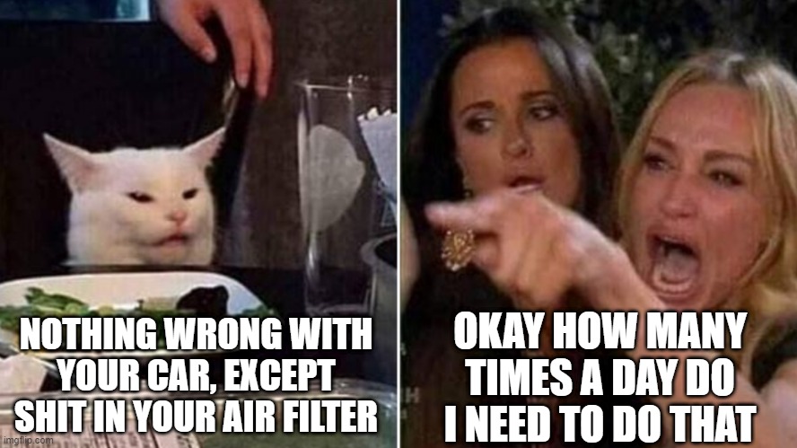 smudge and nlonde | OKAY HOW MANY TIMES A DAY DO I NEED TO DO THAT; NOTHING WRONG WITH YOUR CAR, EXCEPT SHIT IN YOUR AIR FILTER | image tagged in reverse smudge and karen,car trouble | made w/ Imgflip meme maker