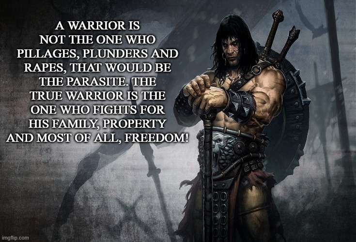 Freedom Fighter | A WARRIOR IS NOT THE ONE WHO PILLAGES, PLUNDERS AND RAPES, THAT WOULD BE THE PARASITE. THE TRUE WARRIOR IS THE ONE WHO FIGHTS FOR HIS FAMILY, PROPERTY AND MOST OF ALL, FREEDOM! | image tagged in warrior,freedom,liberty,conan,libertarian,solider | made w/ Imgflip meme maker