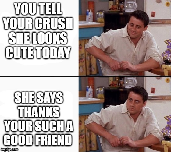 Comprehending Joey | YOU TELL YOUR CRUSH SHE LOOKS CUTE TODAY; SHE SAYS THANKS YOUR SUCH A GOOD FRIEND | image tagged in comprehending joey | made w/ Imgflip meme maker