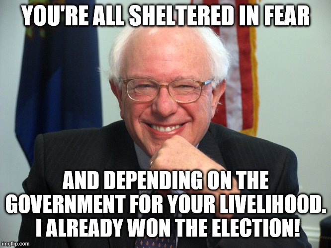 Vote Bernie Sanders | YOU'RE ALL SHELTERED IN FEAR; AND DEPENDING ON THE GOVERNMENT FOR YOUR LIVELIHOOD.  I ALREADY WON THE ELECTION! | image tagged in vote bernie sanders | made w/ Imgflip meme maker