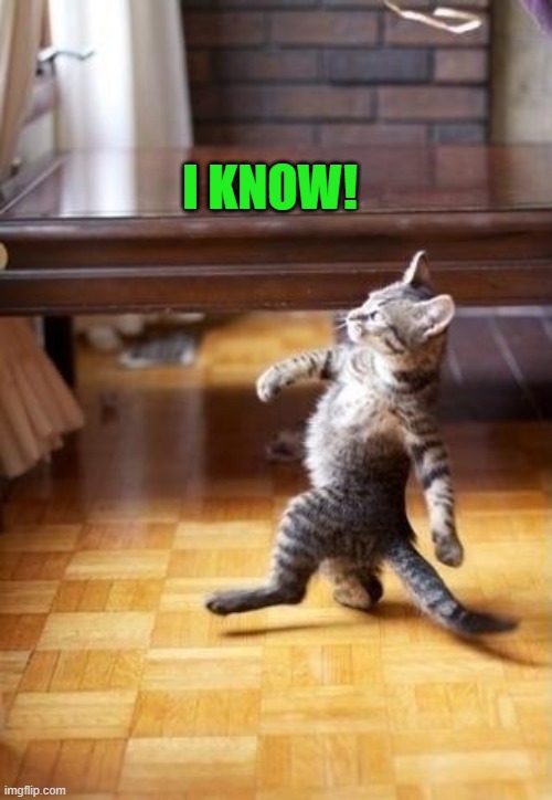 I KNOW! | image tagged in proud kitty | made w/ Imgflip meme maker