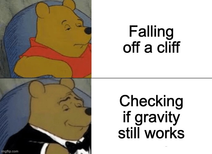 Tuxedo Winnie The Pooh | Falling off a cliff; Checking if gravity still works | image tagged in memes,tuxedo winnie the pooh | made w/ Imgflip meme maker