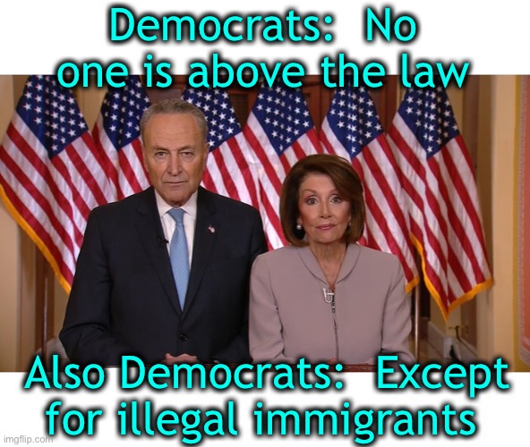 Hypocrisy-a double standard-more of the same | Democrats:  No one is above the law; Also Democrats:  Except for illegal immigrants | image tagged in chuck and nancy | made w/ Imgflip meme maker