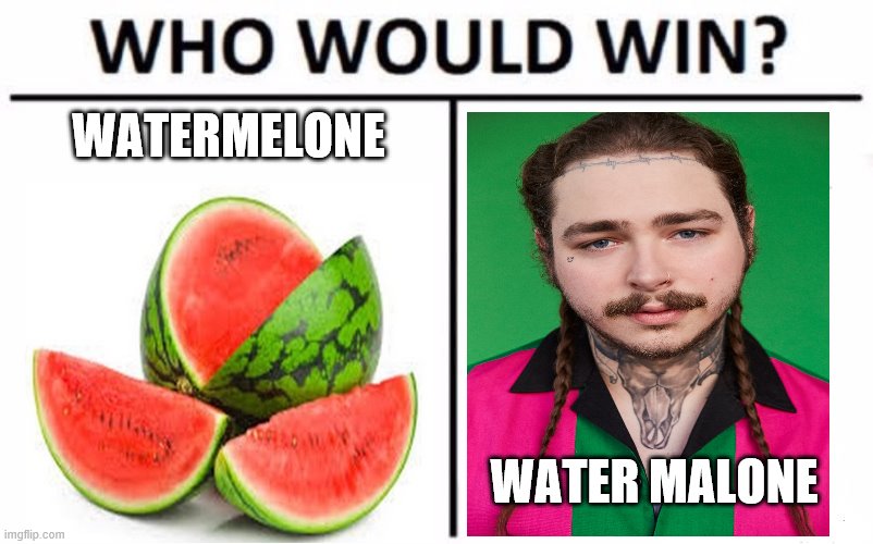 Who Would Win? Meme | WATERMELONE; WATER MALONE | image tagged in memes,who would win | made w/ Imgflip meme maker