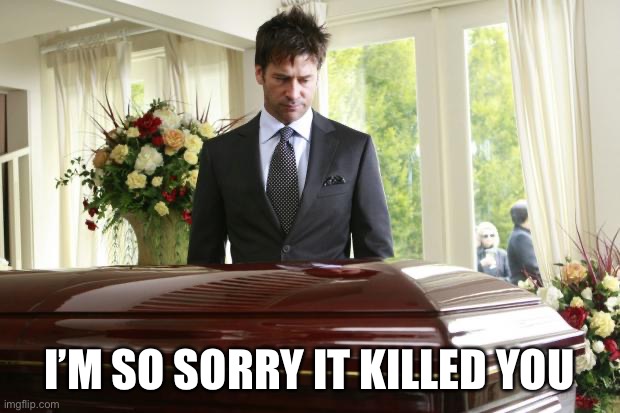 funeral | I’M SO SORRY IT KILLED YOU | image tagged in funeral | made w/ Imgflip meme maker