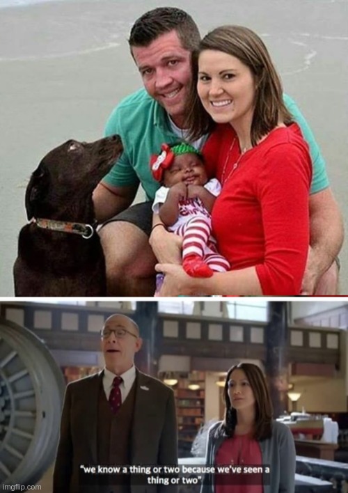 image tagged in the dog knows something,memes | made w/ Imgflip meme maker