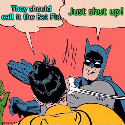 Kinda catchy | Just shut up! They should call it the Bat Flu | image tagged in coronavirus,covid19,china flu,wuhan flu,i prefer bat flu | made w/ Imgflip meme maker