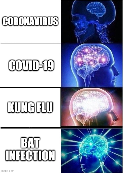 Expanding Brain Meme | CORONAVIRUS; COVID-19; KUNG FLU; BAT INFECTION | image tagged in memes,expanding brain | made w/ Imgflip meme maker